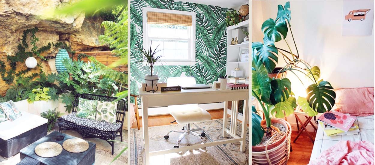 Tendance Urban Jungle : 6 comptes Instagram à suivre absolument !