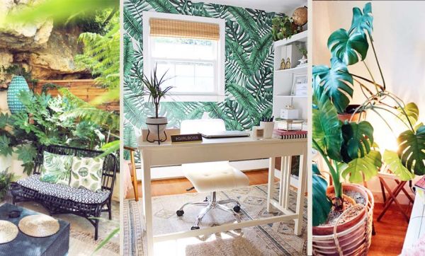 Tendance Urban Jungle : 6 comptes Instagram à suivre absolument !