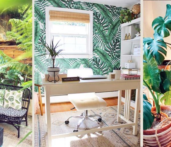 Tendance Urban Jungle : 6 comptes Instagram à suivre absolument !