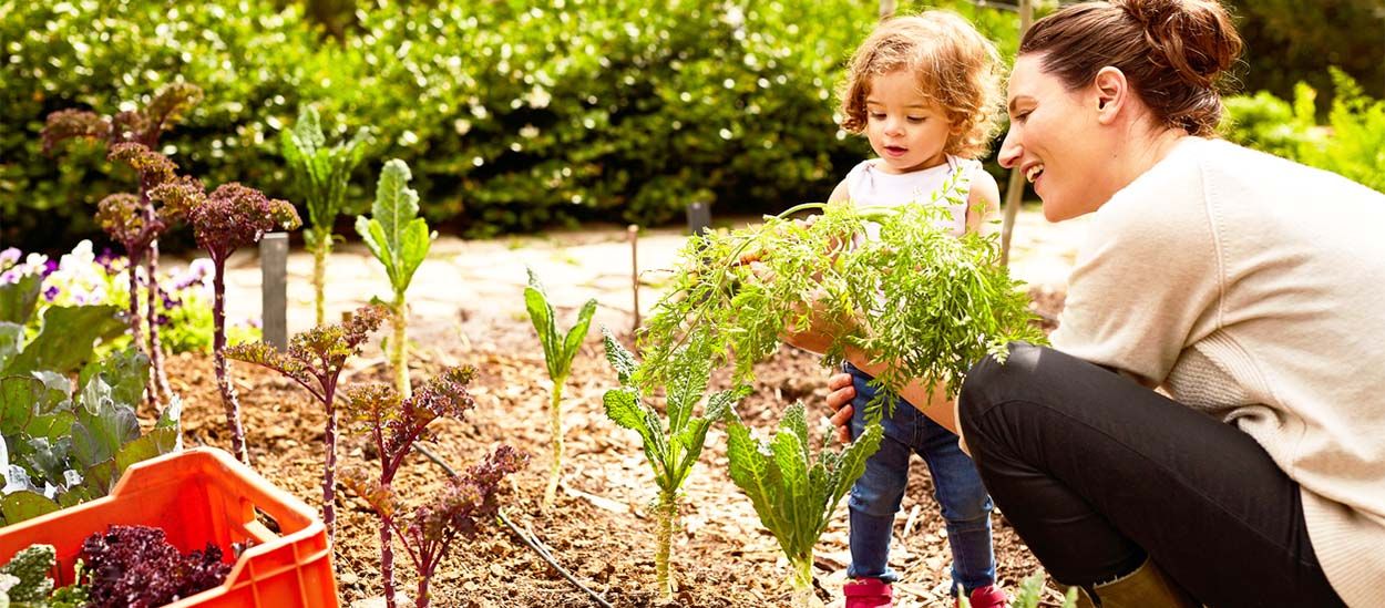 9 astuces écolos pour cultiver votre potager sans glyphosate et autres pesticides