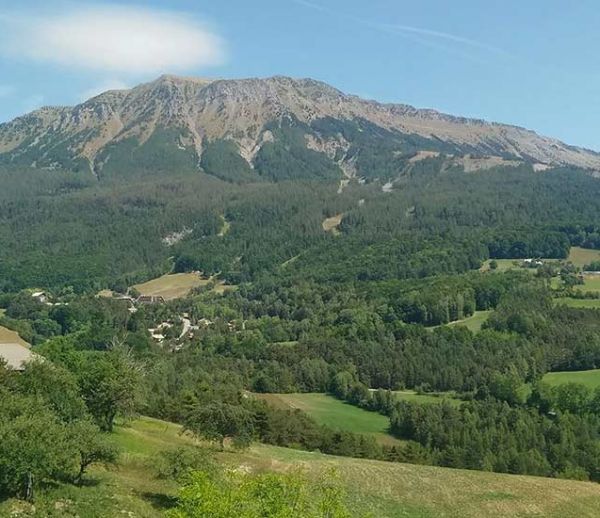 Entre nature et ville : vos plus beaux clichés du mois d'août