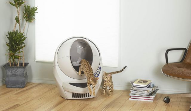 Ce Robot Doit Se Déplacer Entre Les Caisses. Pix