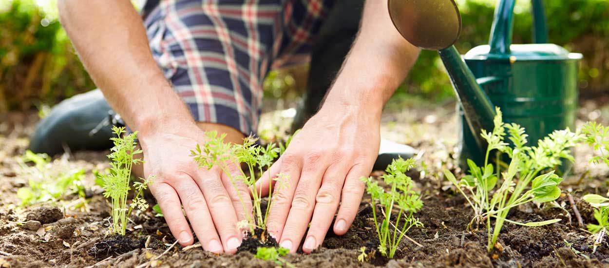 Oasis Citadine : ce jardinier passionné va faire découvrir la permaculture aux urbains