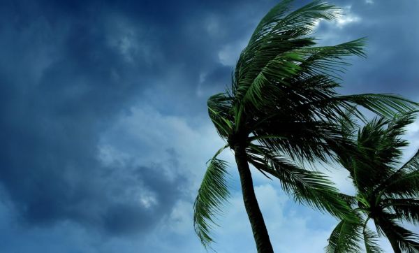Comment venir en aide aux victimes de l'ouragan Irma ?