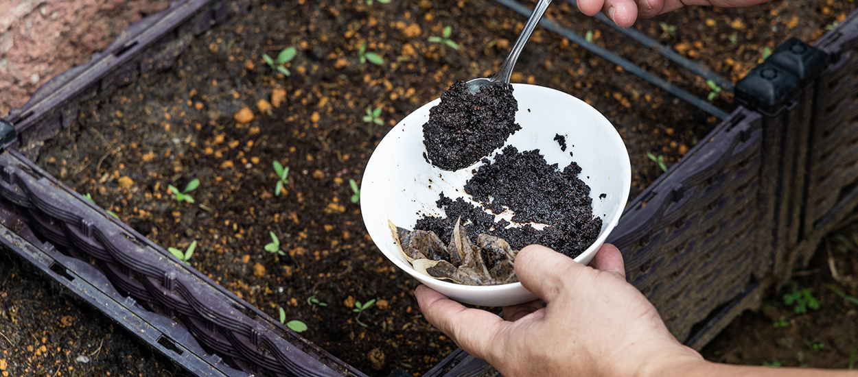 15 astuces écolo avec du marc de café à utiliser chez vous ou au jardin