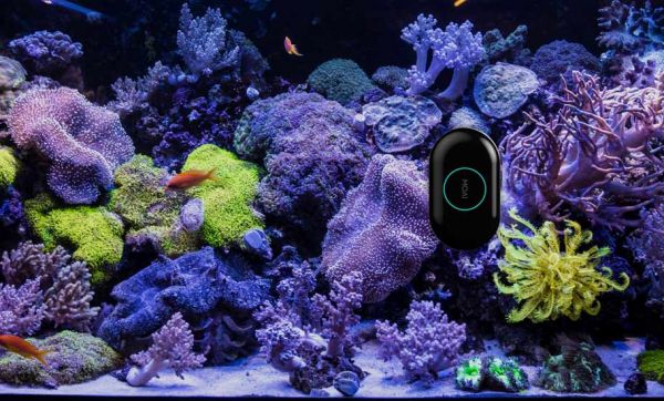 Ce robot intelligent s'occupe d'entretenir votre aquarium