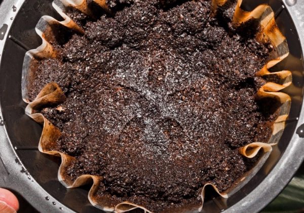 Avoir Images Menage Ecolo Astuces De Grand Mere A Faire Chez Soi Avec Du Marc le plus cool par