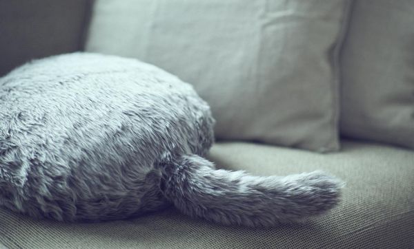 Cet étrange coussin en forme de chat remue la queue et ronronne !