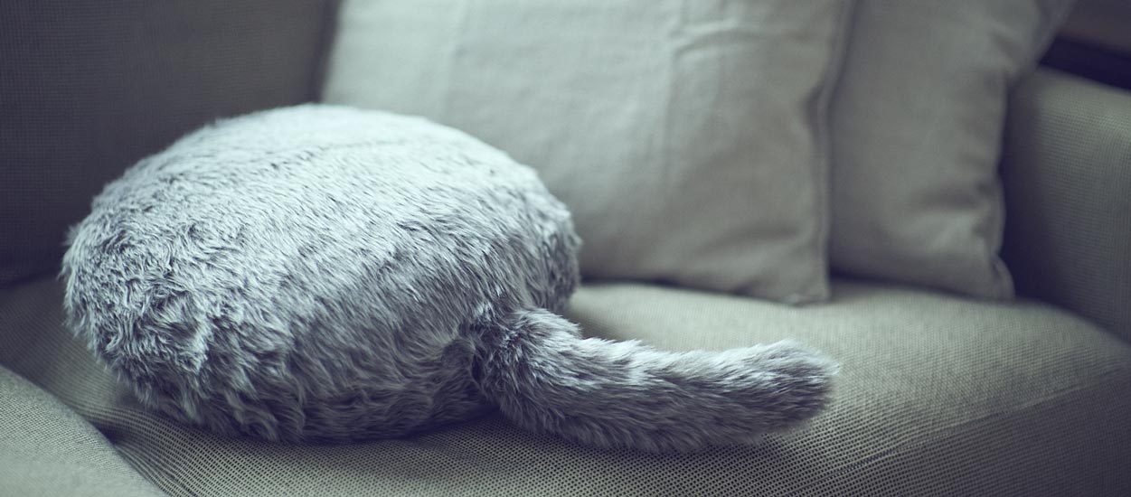 Ceci Est Robot Chat Sans Tete Ni Pattes Concu Pour Vous Reconforter 18h39 Fr Ceci Est Robot Chat Sans Tete Ni Pattes Concu Pour Vous Reconforter 18h39 Fr