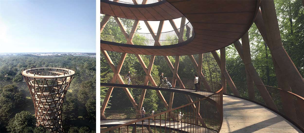 Une gigantesque spirale au sommet des arbres pour admirer la forêt d'en haut