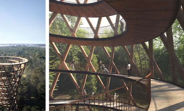 Une gigantesque spirale au sommet des arbres pour admirer la forêt d'en haut