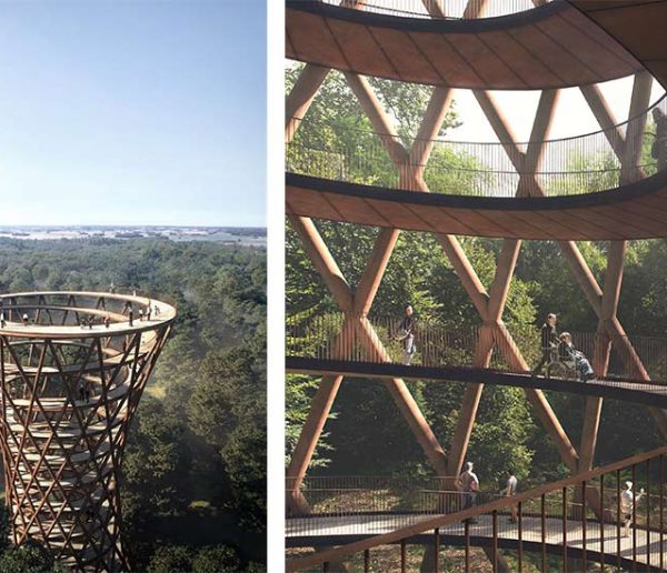 Une gigantesque spirale au sommet des arbres pour admirer la forêt d'en haut