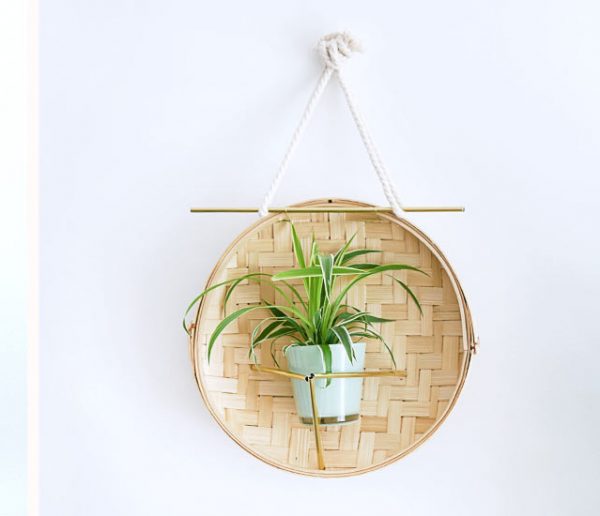 Tuto : Transformez un panier vapeur en joli terrarium