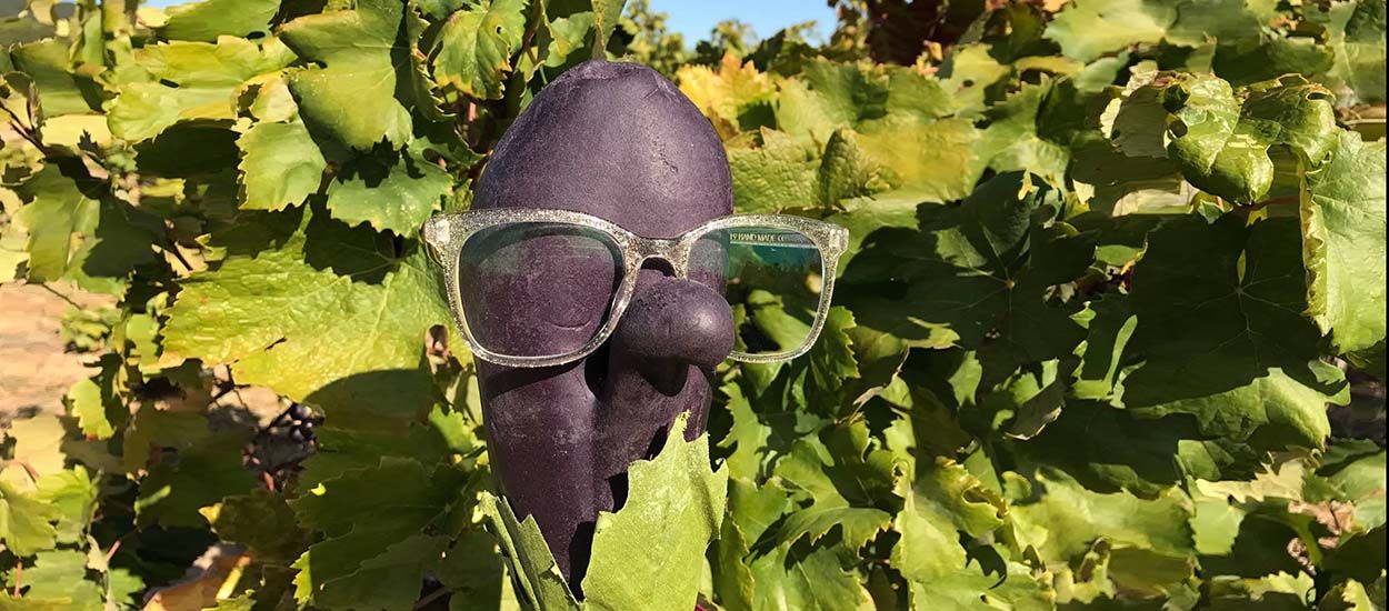 Marcelline l'Aubergine, l'héroïne écolo et décalée à découvrir d'urgence