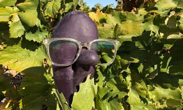 Marcelline l'Aubergine, l'héroïne écolo et décalée à découvrir d'urgence