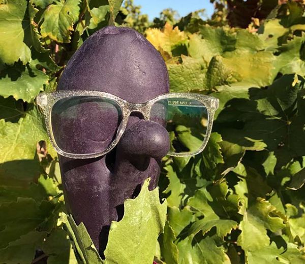 Marcelline l'Aubergine, l'héroïne écolo et décalée à découvrir d'urgence