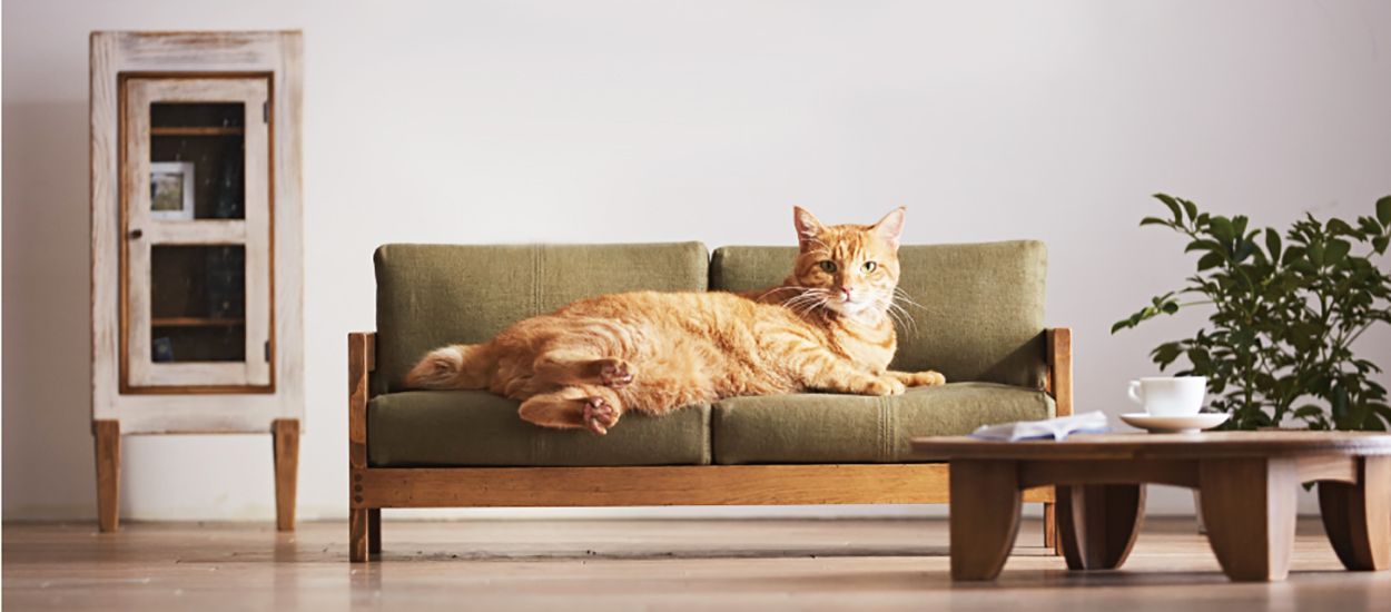 Des mini meubles adorables pour que votre chat arrête de vous piquer toute la place