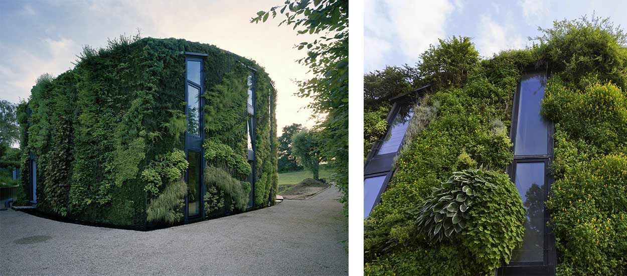 Cette maison bruxelloise est entièrement recouverte de végétaux