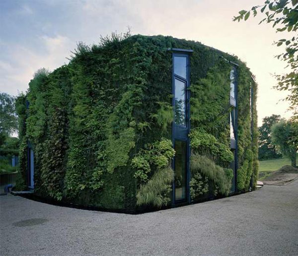 Cette maison bruxelloise est entièrement recouverte de végétaux