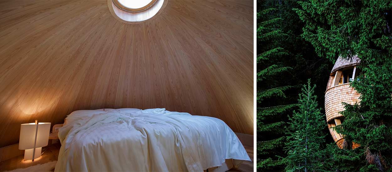 Cette magnifique cabane perdue dans la forêt offre une vue imprenable sur les étoiles