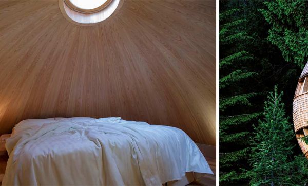 Cette magnifique cabane perdue dans la forêt offre une vue imprenable sur les étoiles