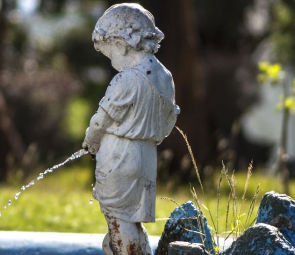 “L'urine est le meilleur engrais qui soit”