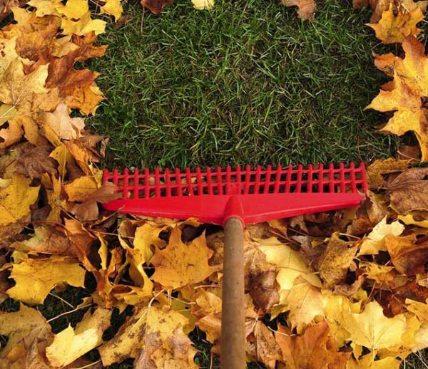 5 astuces pour utiliser les feuilles mortes au jardin en automne