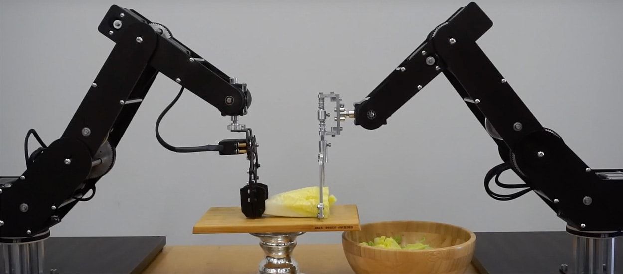 Dorna, ce robot insolite qui accomplit pour vous des tâches utiles (ou pas)