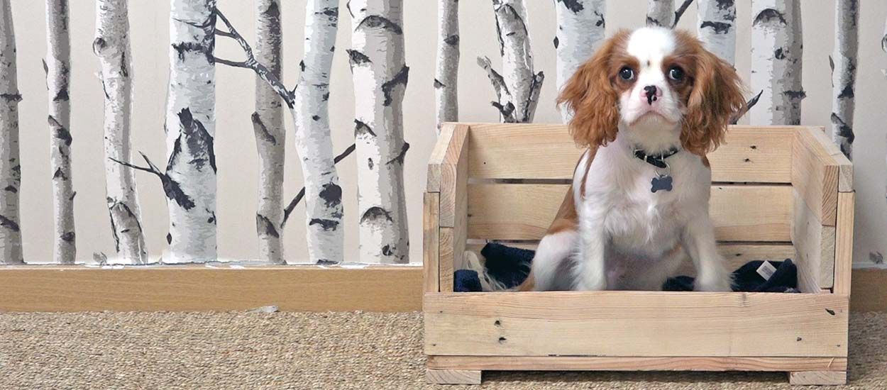 Tuto : Fabriquez un petit panier pour chien en palette pour moins de 10 euros