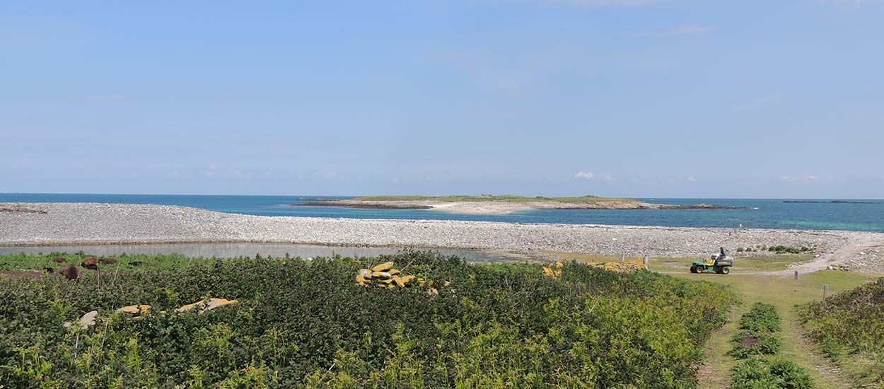 Un couple de trentenaires a été sélectionné pour vivre sur cette île déserte en Bretagne