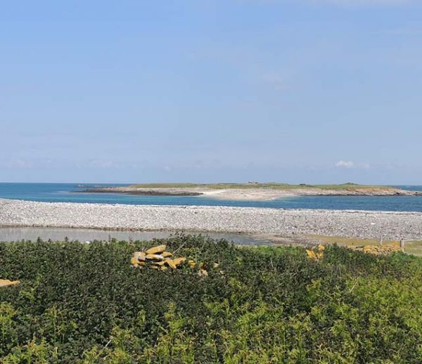 Un couple de trentenaires a été sélectionné pour vivre sur cette île déserte en Bretagne