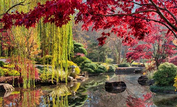 Visite de ce jardin extraordinaire, en 10 photos !