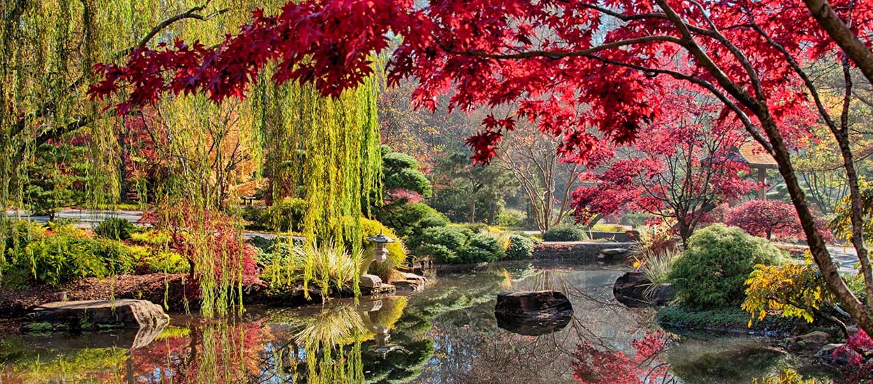 Visite de ce jardin extraordinaire, en 10 photos !