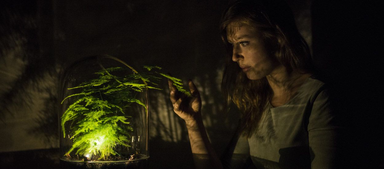 Cette lampe fonctionne grâce à l'énergie d'une plante verte