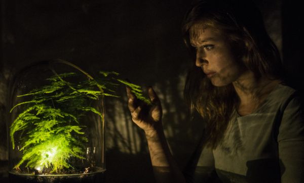 Cette lampe fonctionne grâce à l'énergie d'une plante verte