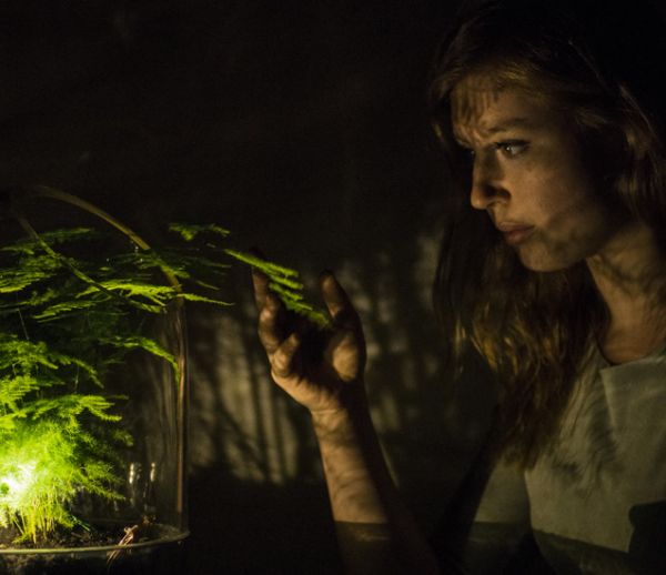 Cette lampe fonctionne grâce à l'énergie d'une plante verte