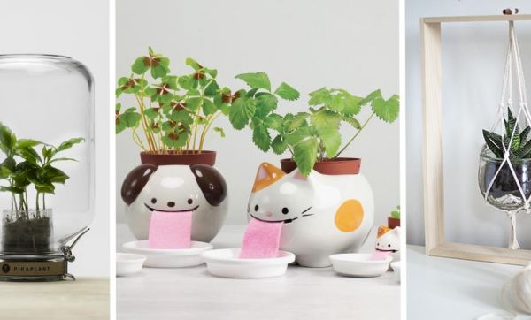 13 idées de cadeaux de Noël pour les amoureux des plantes, même ceux qui n'ont pas la main verte