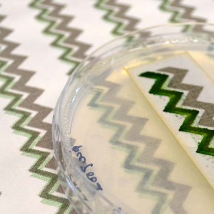 Ce papier biodégradable produit de l'électricité grâce à des algues !