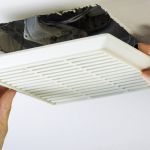 Solution naturelles pour absorber l'humidité d'une pièce- IZI by EDF