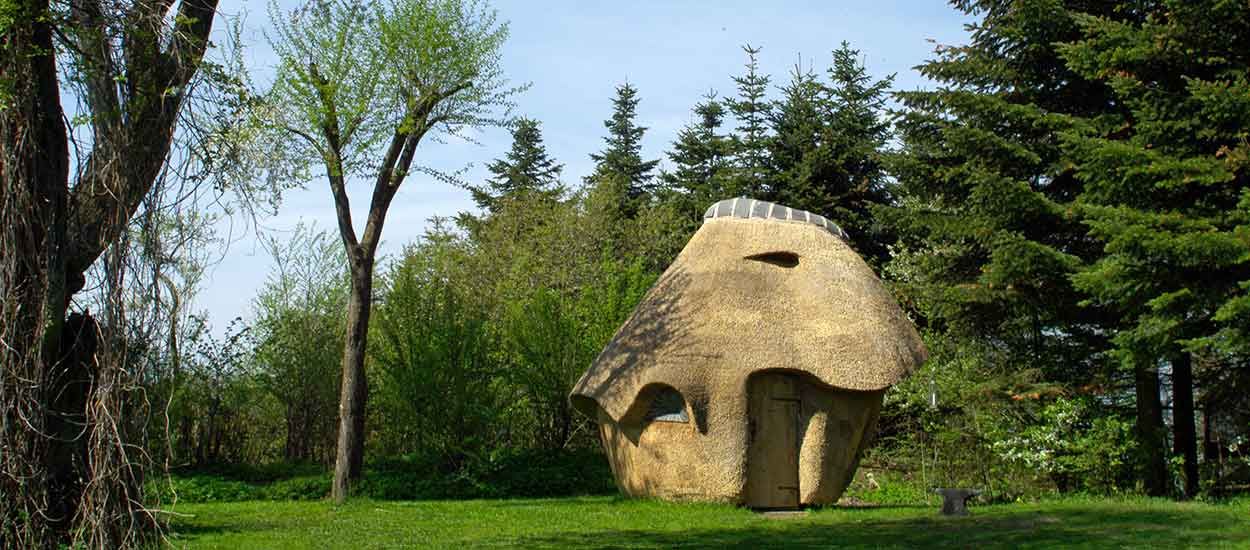 Il a construit un sauna en chaume comme un champignon géant