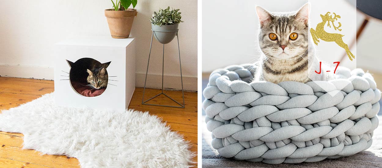 Des Idees Cadeaux A Offrir A Votre Chat A Noel 18h39 Des Idees Cadeaux A Offrir A Votre Chat A Noel 18h39