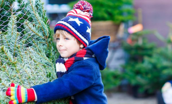 N'achetez plus votre sapin, louez-le, pour qu'il soit replanté après les fêtes !