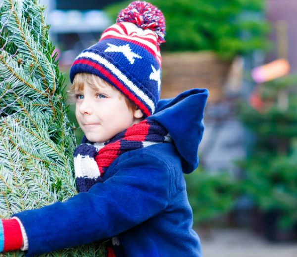 N'achetez plus votre sapin, louez-le, pour qu'il soit replanté après les fêtes !