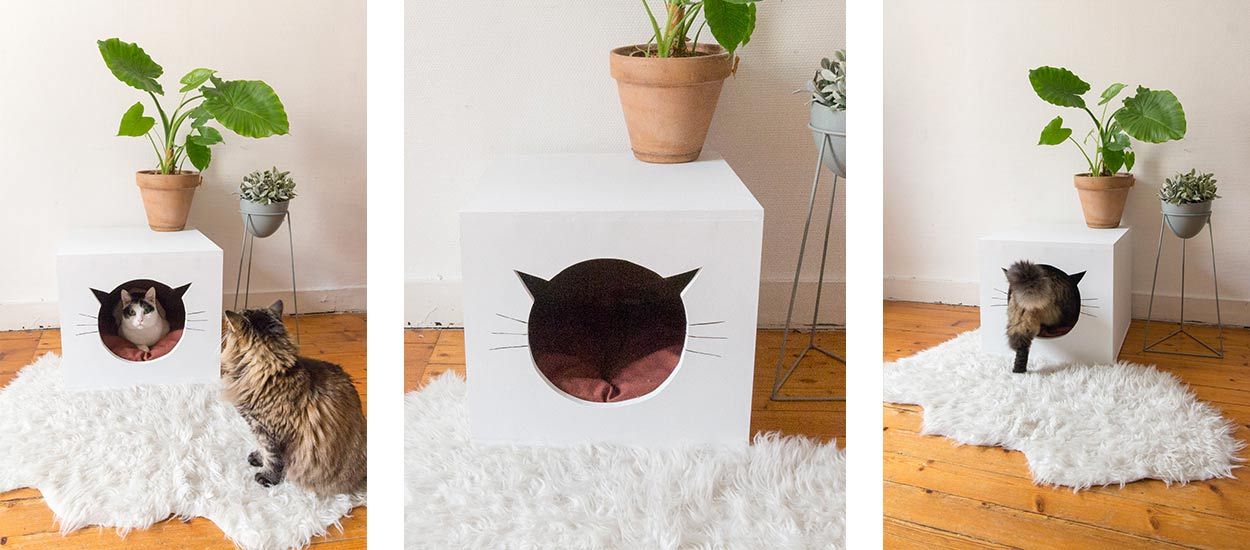 Tuto : Fabriquez une adorable petite maison pour votre chat