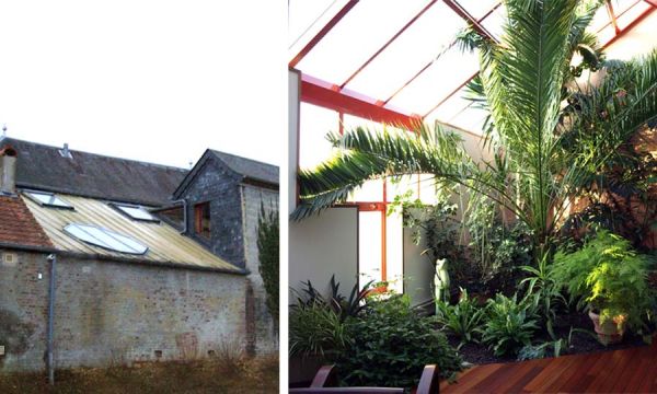 Avant / Après : ce couple du Nord a créé un jardin d'hiver aux allures de paradis tropical