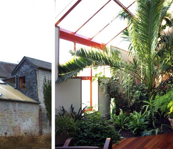 Avant / Après : ce couple du Nord a créé un jardin d'hiver aux allures de paradis tropical