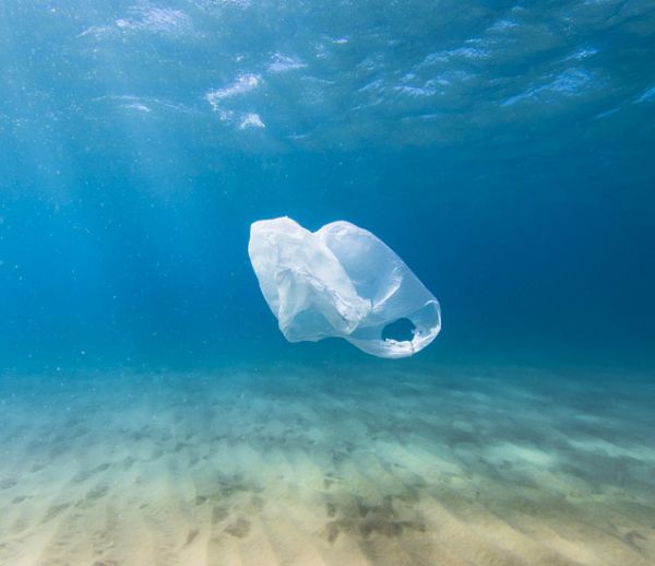 200 pays s'engagent à faire disparaître le plastique des océans