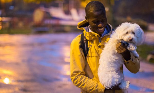 En Angleterre, on alimente des lampadaires avec des crottes de chien !