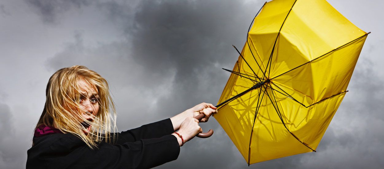 Tempête : à quelles indemnisations avez-vous droit pour votre maison ?