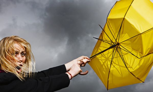 Tempête : à quelles indemnisations avez-vous droit pour votre maison ?